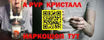 крисы Малгобек