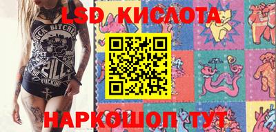 крисы Малгобек