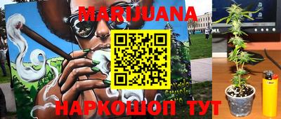 крисы Малгобек