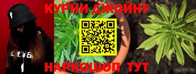 крисы Малгобек