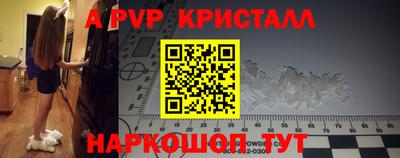крисы Малгобек