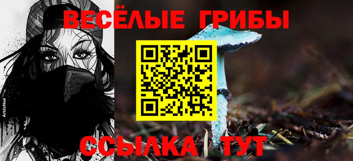 купить наркотик  Вход с VPN  Воркута  Псилоцибиновые грибы Psilocybine cubensis  Псилоцибиновые грибы Psilocybine cubensis 
