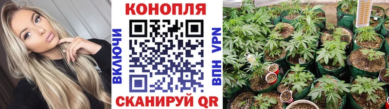 Канабис сатива где можно купить наркотик Воркута